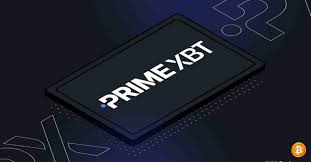 Descubra as Oportunidades do Trading com PrimeXBT Forex